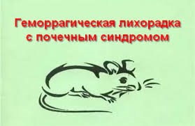 Геморрагическая лихорадка с почечным синдромом