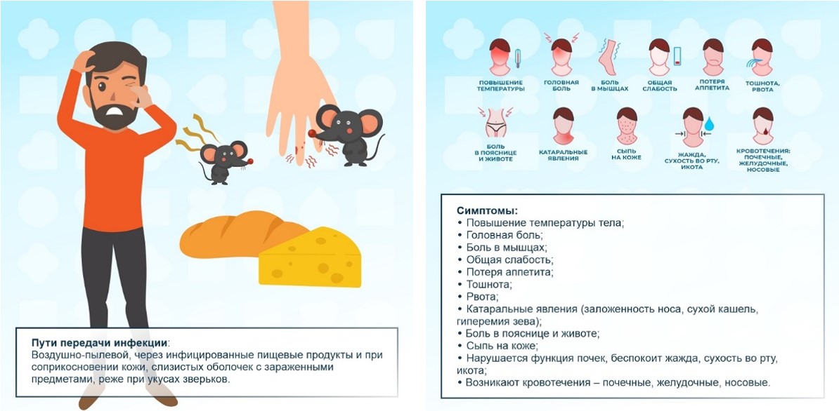Геморрагическая лихорадка с почечным синдромом