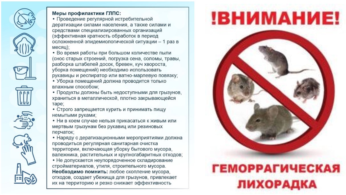 Геморрагическая лихорадка с почечным синдромом