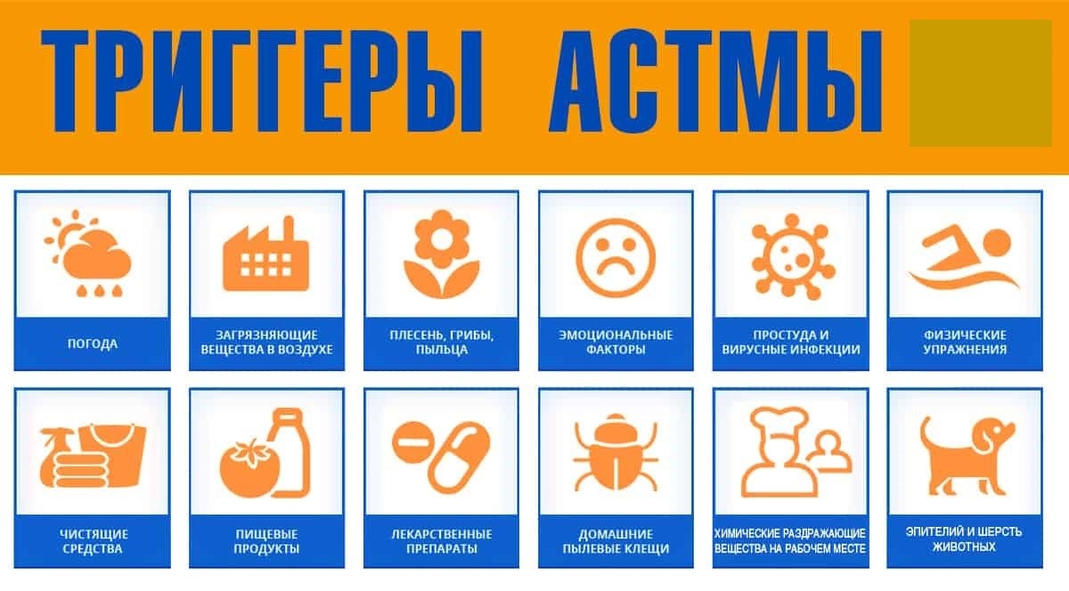 Всемирный день борьбы с бронхиальной астмой