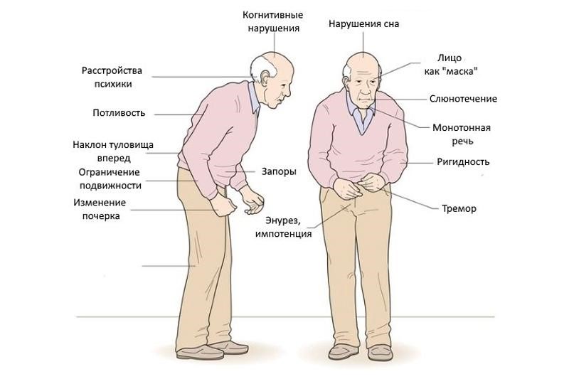 всемирный день борьбы с болезнью Паркинсона