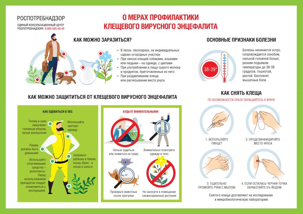 Что делать, если укусил клещ