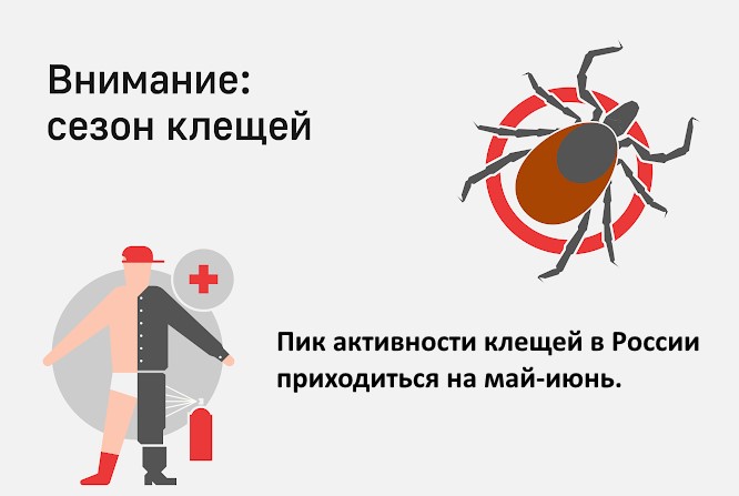 Что делать, если укусил клещ