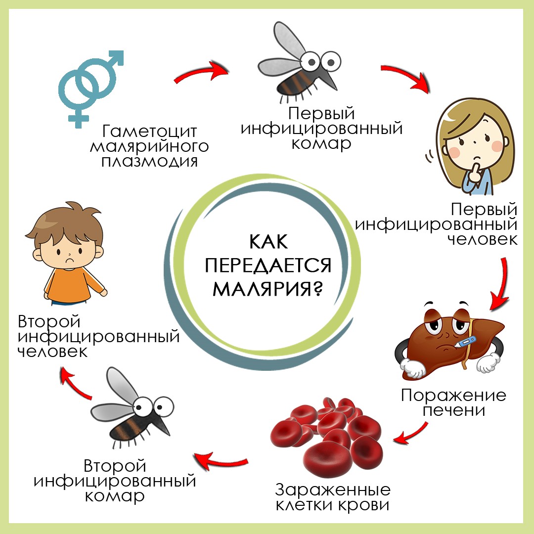 Всемирный день борьбы с малярией