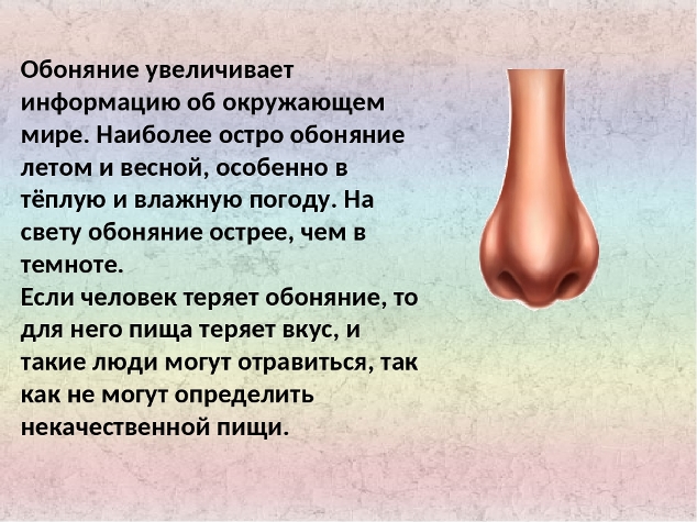 Международный день обоняния