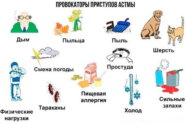 Всемирный день борьбы против астмы и аллергии