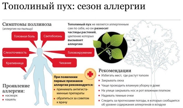 Всемирный день борьбы против астмы и аллергии