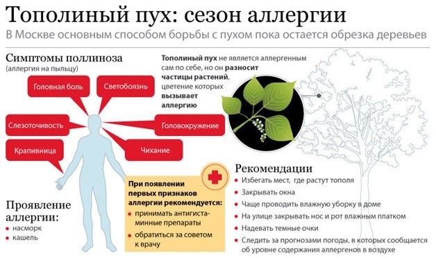 Всемирный день борьбы против астмы и аллергии