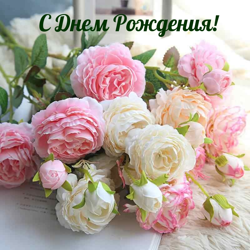 день рождения