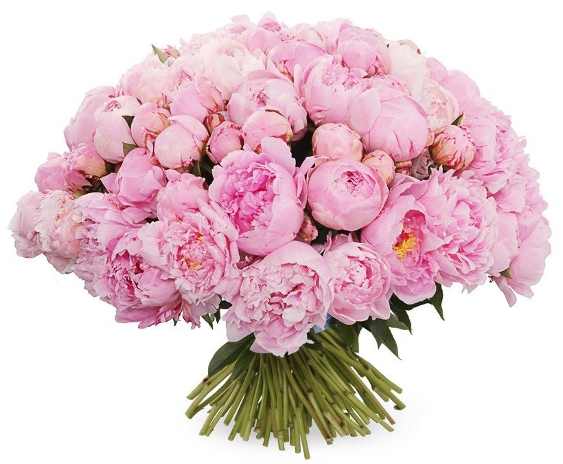день рождения